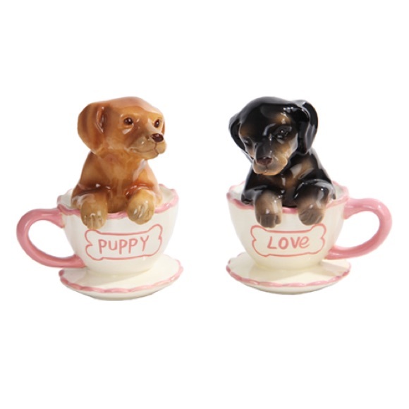 AUCTION PRICE👩🏻‍⚖️ DACHSHUND PUPPIES IN TEA CUP SP SHAKERS - Picture 1 of 1